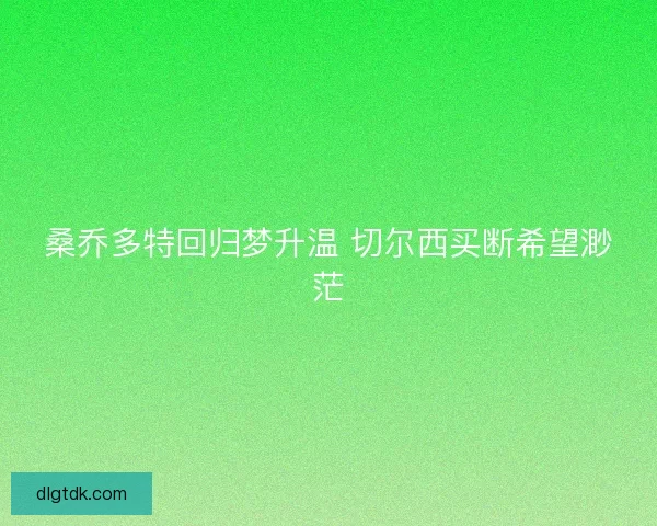 桑乔多特回归梦升温 切尔西买断希望渺茫