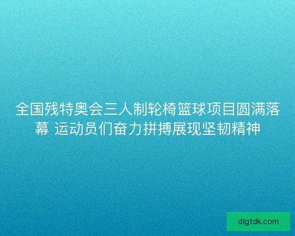 全国残特奥会三人制轮椅篮球项目圆满落幕 运动员们奋力拼搏展现坚韧精神