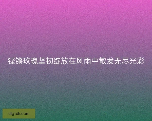 铿锵玫瑰坚韧绽放在风雨中散发无尽光彩